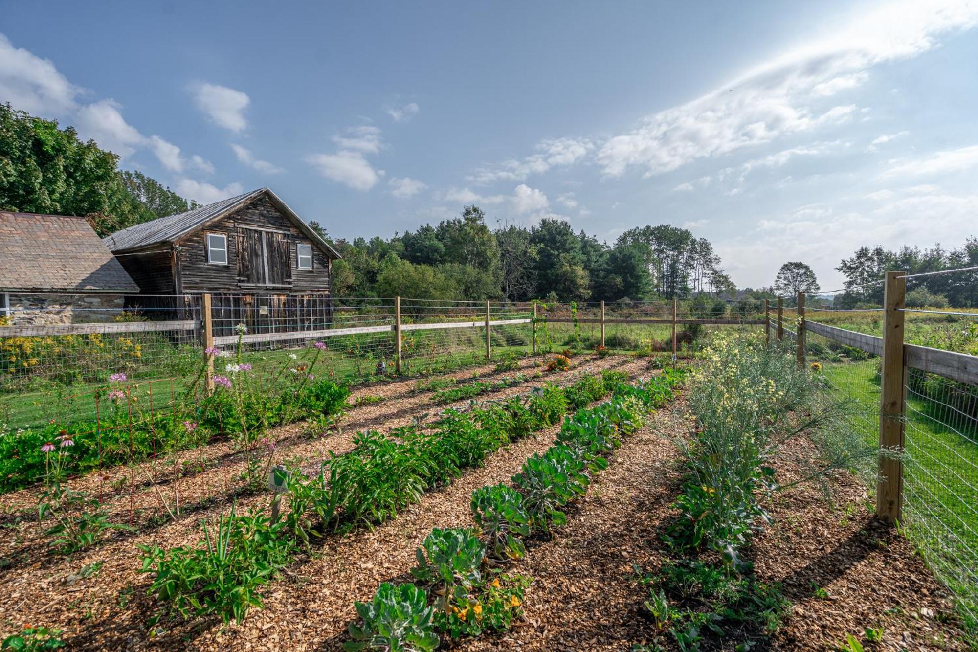 Saratoga Farmstead B&B Saratoga Springs Exterior photo
